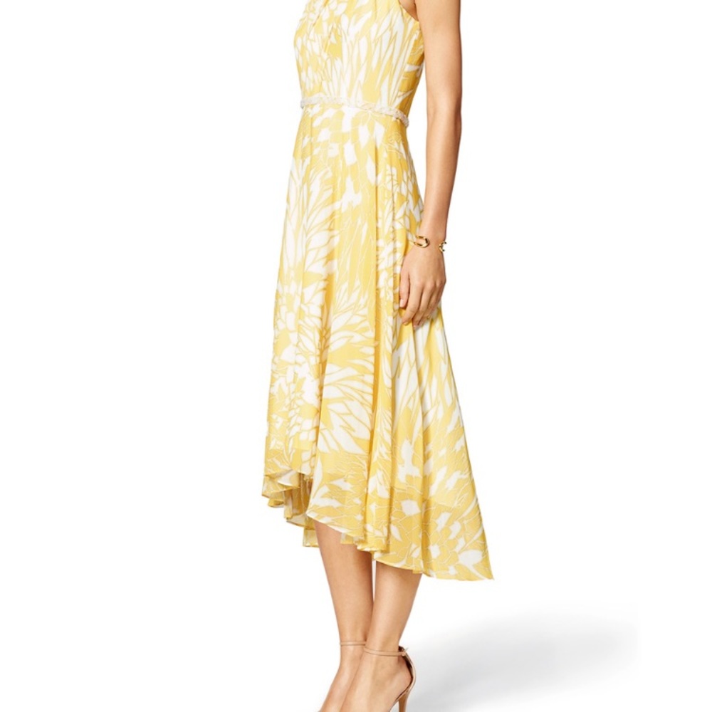Badgley Mischka Paradiso dress